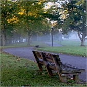 Jigsaw Puzzles 10