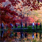 Traditional Jigsaw Puzzles