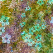 Traditional Jigsaw Puzzles
