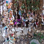 Traditional Jigsaw Puzzles