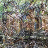 Traditional Jigsaw Puzzles