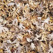Traditional Jigsaw Puzzles
